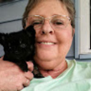 Meet your Posher, Rita